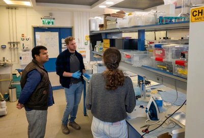 A Collaborative Research Environment